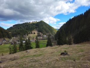 Teren de vanzare  in Bucovina Comuna Breaza - imagine 7