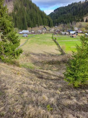 Teren de vanzare  in Bucovina Comuna Breaza - imagine 3