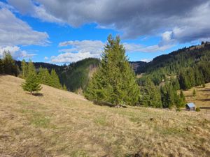 Teren de vanzare  in Bucovina Comuna Breaza - imagine 14