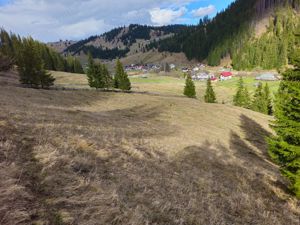 Teren de vanzare  in Bucovina Comuna Breaza - imagine 12