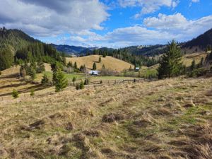 Teren de vanzare  in Bucovina Comuna Breaza - imagine 13