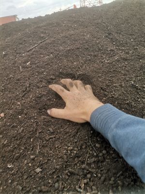Compost Pământ galben nisipos pentru gazon Pamant negru vegetal  - imagine 8