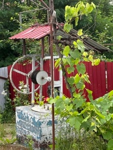 Casa bătrânească în Hârtop-Neamț 