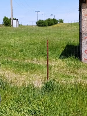 Teren Pielești 10euro mp - imagine 4