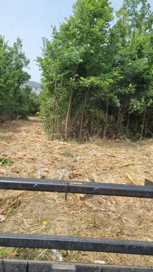 Curatare,defrisare,tocare pe terenuri cu brusturi si arbusti. - imagine 9