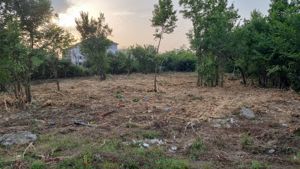 Curatare,defrisare,tocare pe terenuri cu brusturi si arbusti. - imagine 10