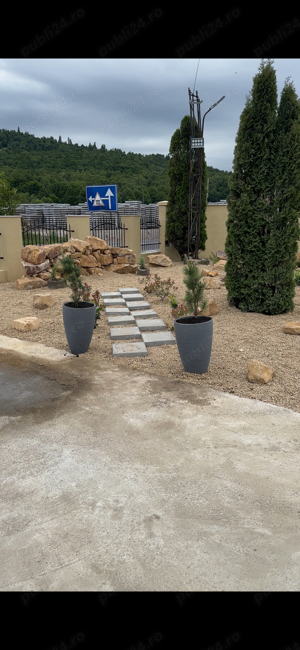 amenajari curti gradini - imagine 2