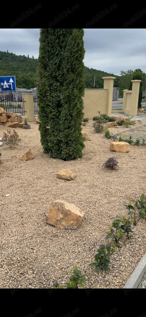 amenajari curti gradini - imagine 5