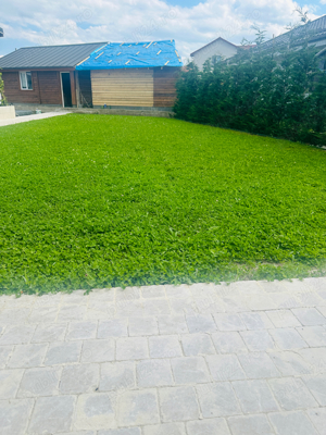 amenajari curti gradini - imagine 3