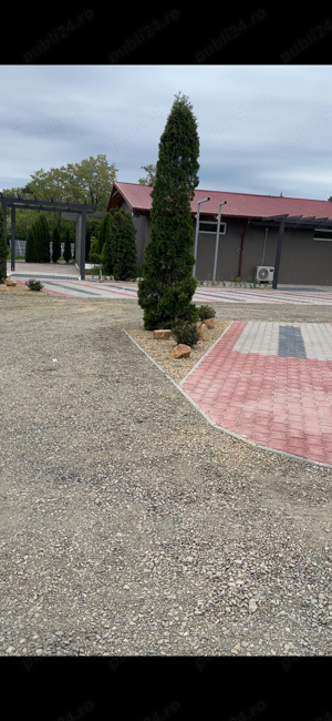 amenajari curti gradini - imagine 6