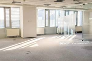 Sun Offices, spatii pentru birouri zona Calea Vacaresti, 460 - 1511mp,  - imagine 5