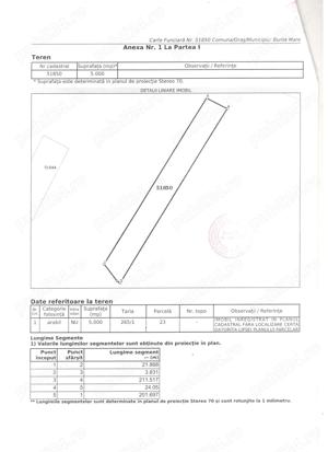 Teren extravilan 1.27Ha - imagine 3