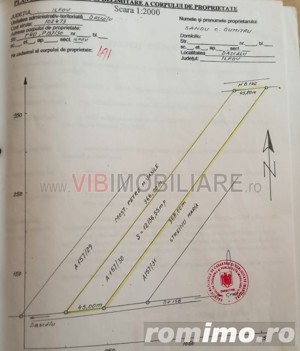 Comuna Dascalu - A0 - teren intravilan 9000 mp - imagine 6