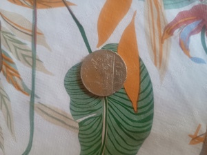 vand moneda 1 leu din 1966