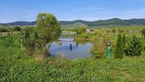 Vând casă de locuit, toate utilitățile, lac de pescuit - imagine 8