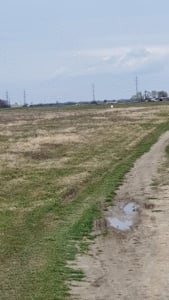 Parcela 518 mp comuna Giroc - imagine 3