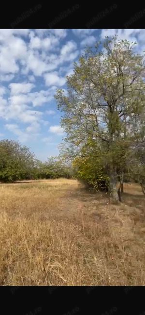 vanzare teren intravilan cornatelu  dambovita