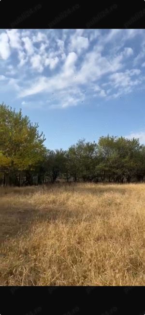 vanzare teren intravilan cornatelu  dambovita - imagine 4