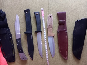 briceag colectie in iasi 