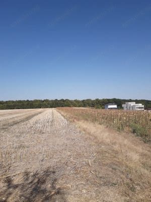 Proprietar vând teren intravilan la pădure cu vedere spre lacul din zona Moara Vlăsiei(Vlăsia)jud.If - imagine 4