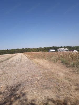 Proprietar vând teren intravilan la pădure cu vedere spre lacul din zona Moara Vlăsiei(Vlăsia)jud.If - imagine 2