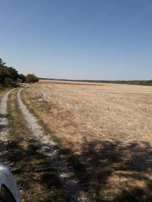 Proprietar vând teren intravilan la pădure cu vedere spre lacul din zona Moara Vlăsiei(Vlăsia)jud.If - imagine 7