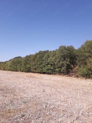 Proprietar vând teren intravilan la pădure cu vedere spre lacul din zona Moara Vlăsiei(Vlăsia)jud.If - imagine 6