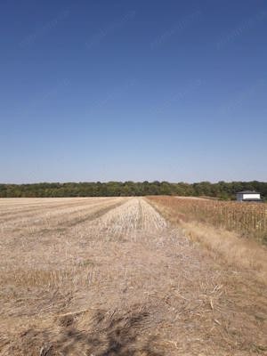 Proprietar vând teren intravilan la pădure cu vedere spre lacul din zona Moara Vlăsiei(Vlăsia)jud.If - imagine 9