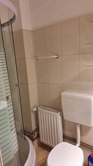 Inchiriez apartament 3 camere , ZONA TRAIAN  ( MALUL MURESULUI ) - imagine 9