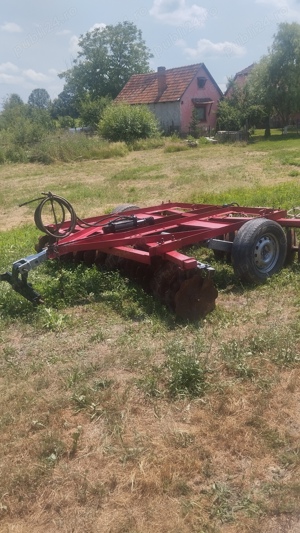 Disc 3,2 Piatra Neamt+grape - imagine 5