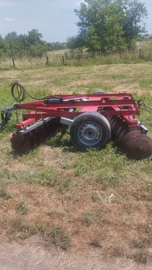 Disc 3,2 Piatra Neamt+grape - imagine 3