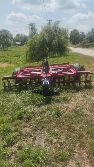 Disc 3,2 Piatra Neamt+grape - imagine 2