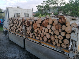 Vând Lemne de fag - imagine 5