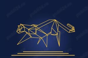 Infiintari firme Bucuresti