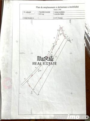 Teren extravilan arabil in Balata, Soimus - imagine 3