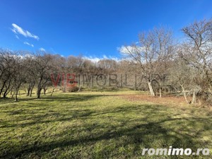 Mihaesti - Sat Draghici, teren intravilan, cu o suprafață generoasă de 7.280 mp - imagine 3