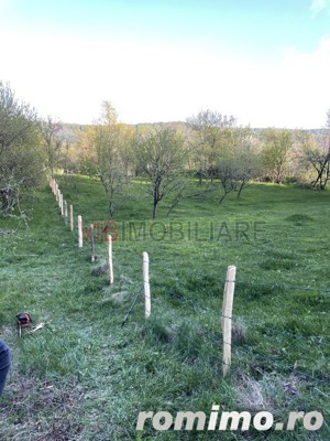 Mihaesti - Sat Draghici, teren intravilan, cu o suprafață generoasă de 7.280 mp - imagine 6