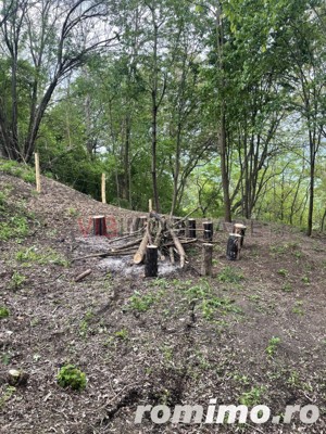 Mihaesti - Sat Draghici, teren intravilan, cu o suprafață generoasă de 7.280 mp - imagine 10