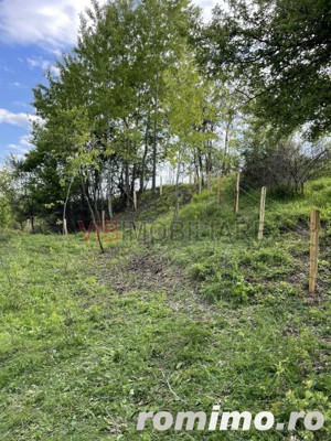 Mihaesti - Sat Draghici, teren intravilan, cu o suprafață generoasă de 7.280 mp - imagine 8