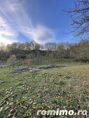 Mihaesti - Sat Draghici, teren intravilan, cu o suprafață generoasă de 7.280 mp - imagine 12