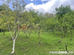 Mihaesti - Sat Draghici, teren intravilan, cu o suprafață generoasă de 7.280 mp - imagine 2