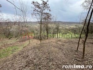 Mihaesti - Sat Draghici, teren intravilan, cu o suprafață generoasă de 7.280 mp - imagine 11