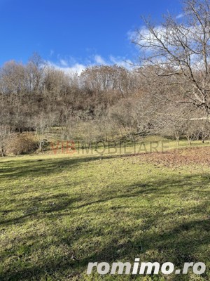 Mihaesti - Sat Draghici, teren intravilan, cu o suprafață generoasă de 7.280 mp - imagine 5