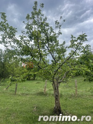 Mihaesti - Sat Draghici, teren intravilan, cu o suprafață generoasă de 7.280 mp - imagine 9