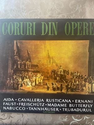 Discuri vinil cu muzica internationala