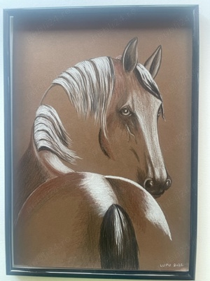 Tablou - Cal " Privire galesa"