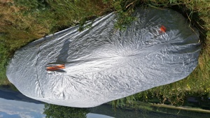 Peugeot 407 - imagine 5