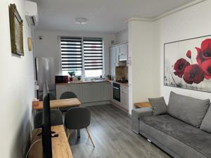 Apartament 2 camere de vanzare la AFI - ARED - imagine 3