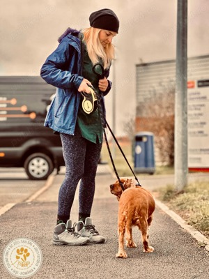 transport caini si pisici România,Germania,Franta,Belgia,Anglia Uk