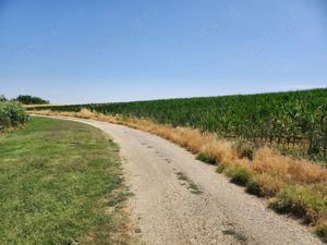 De Vanzare Teren 1000mp Frumusani Iesire Lac - imagine 4